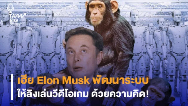 เฮีย Elon Musk พัฒนาระบบให้ลิงเล่นวีดีโอเกม ด้วยความคิด Web