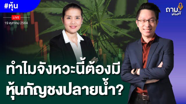ถามอีก กับ พี่ต่าย สุรีย์พร ทีวะสุเวทย์ ผู้อำนวยการอาวุโส บมจ.หลักทรัพย์ ฟินันเซีย ไซรัส