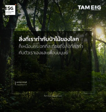 สิ่งที่เราทำกับป่าไม้ของโลกก็เหมือนกระจกที่สะท้อนถึงสิ่งที่เราทำกับตัวเราเองและเพื่อนมนุษย์ 