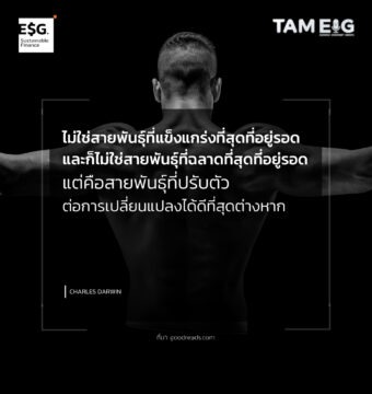 ไม่ใช่สายพันธุ์ที่แข็งแกร่งที่สุดที่อยู่รอด และก็ไม่ใช่สายพันธุ์ที่ฉลาดที่สุดที่อยู่รอด แต่คือสายพันธุ์ที่ปรับตัวต่อการเปลี่ยนแปลงได้ดีที่สุดต่างหาก