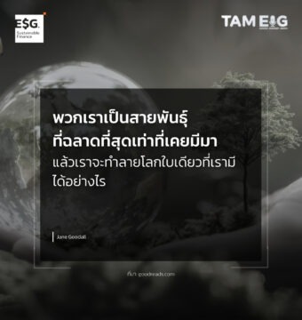 พวกเราเป็นสายพันธุ์ที่ฉลาดที่สุดเท่าที่เคยมีมา แล้วเราจะทำลายโลกใบเดียวที่เรามีได้อย่างไร