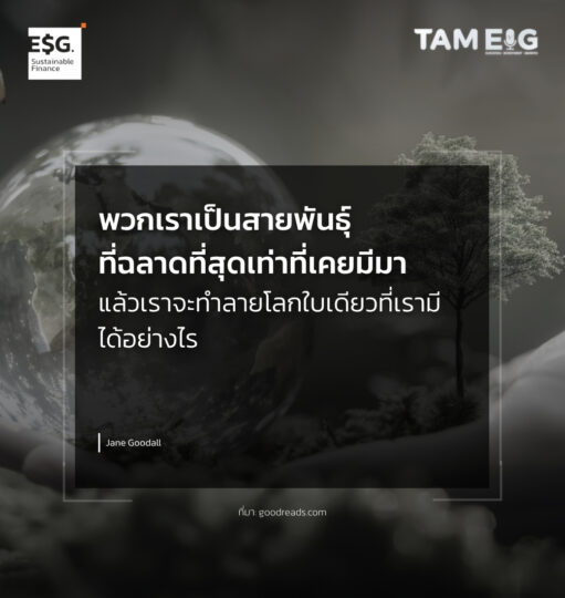 พวกเราเป็นสายพันธุ์ที่ฉลาดที่สุดเท่าที่เคยมีมา แล้วเราจะทำลายโลกใบเดียวที่เรามีได้อย่างไร