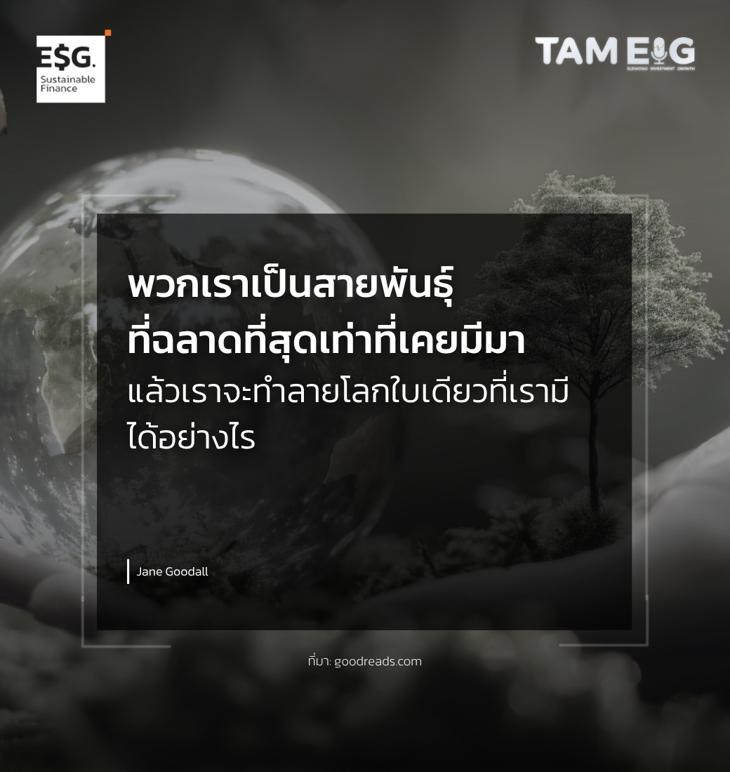พวกเราเป็นสายพันธุ์ที่ฉลาดที่สุดเท่าที่เคยมีมา แล้วเราจะทำลายโลกใบเดียวที่เรามีได้อย่างไร