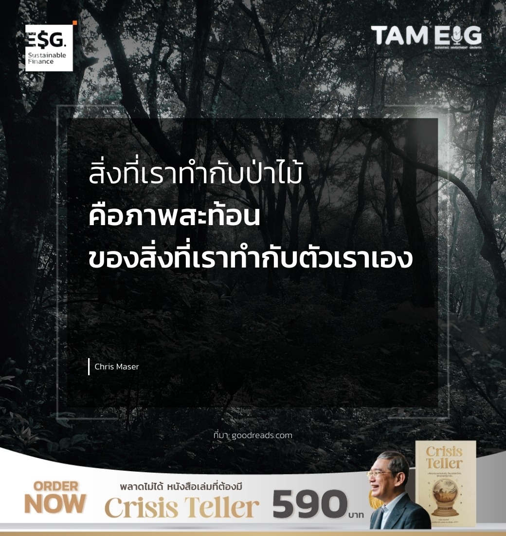 สิ่งที่เราทำกับป่าไม้ คือภาพสะท้อนของสิ่งที่เราทำกับตัวเราเอง